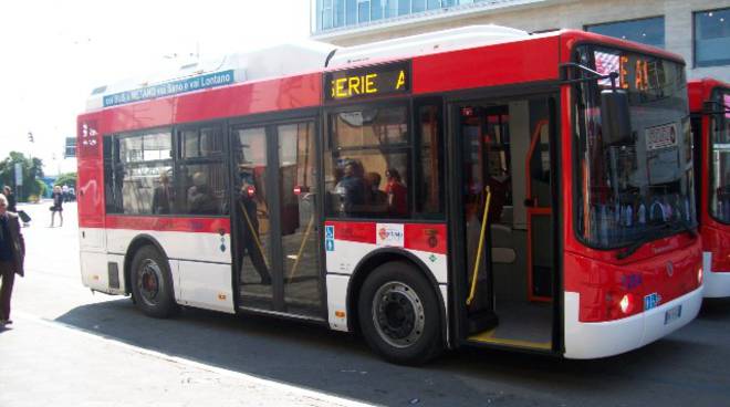 SearchBus